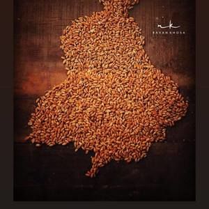 Meet your Posher, Gagan